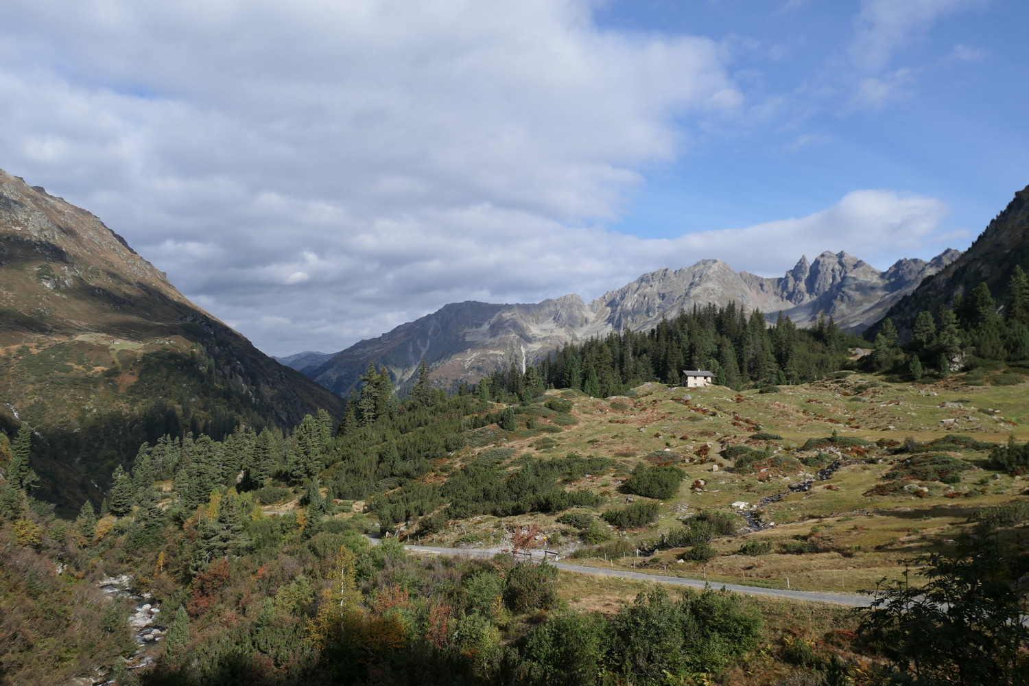 p1010005.jpg