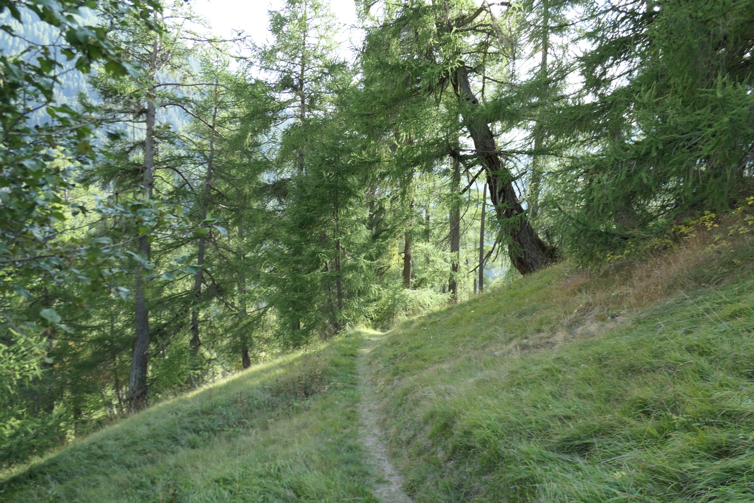 p1010022.jpg