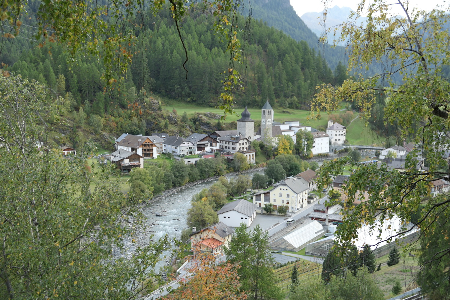 p1010023.jpg