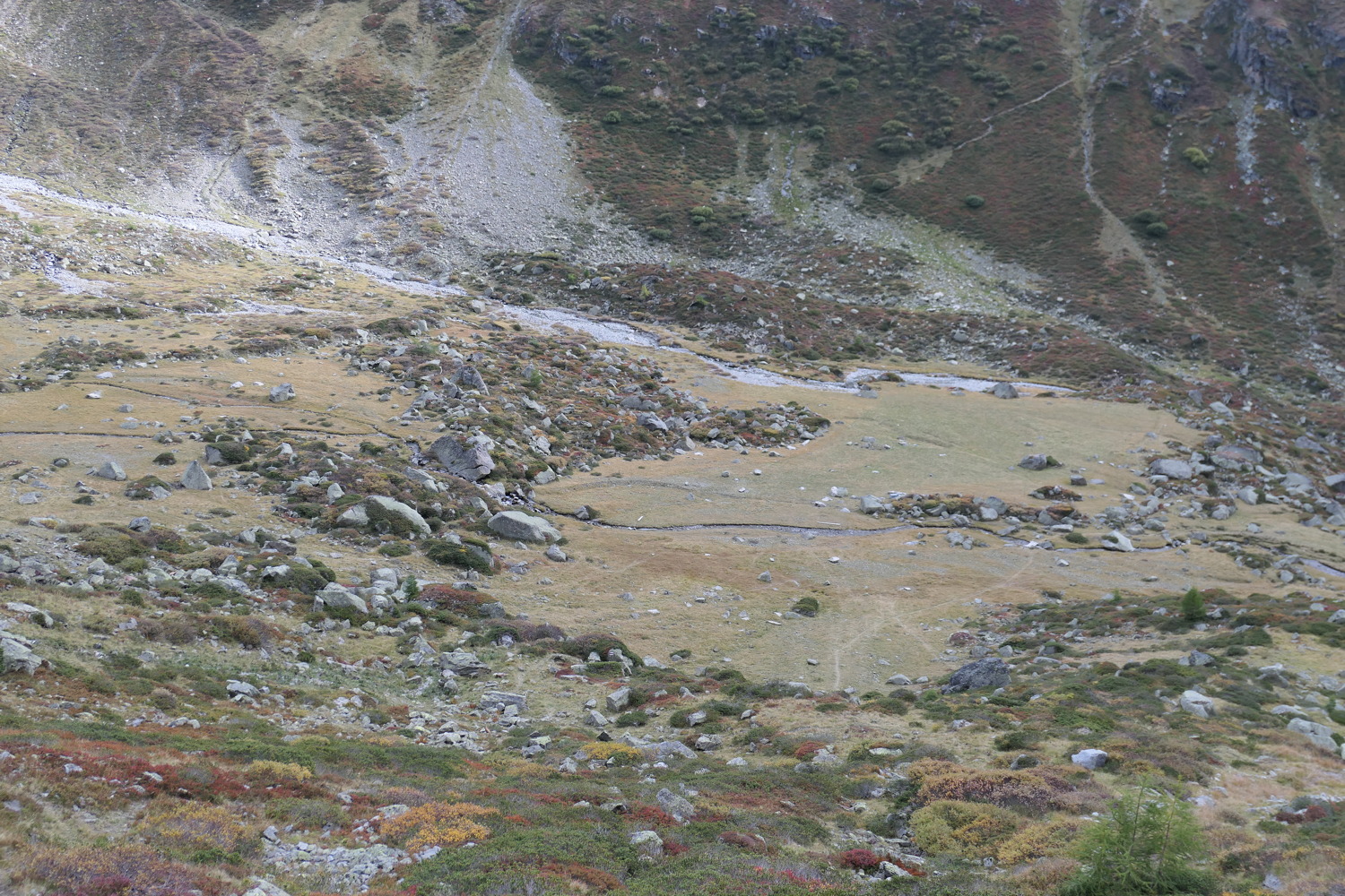p1010035.jpg