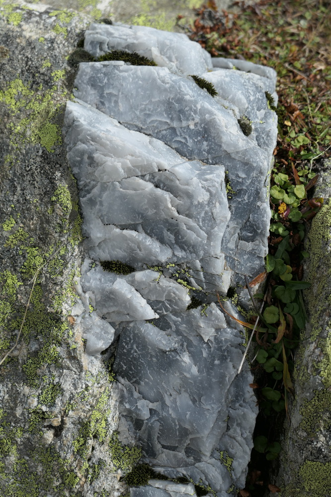 p1010045.jpg