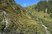 p1010004.jpg