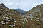 p1010009.jpg