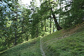 p1010022.jpg