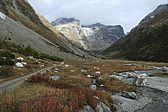 p1010029.jpg