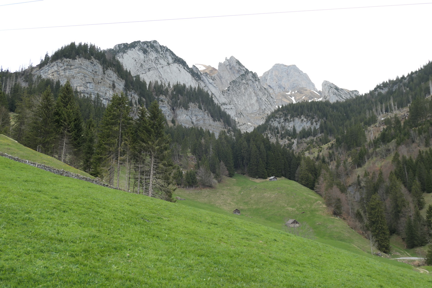 p1020532.jpg