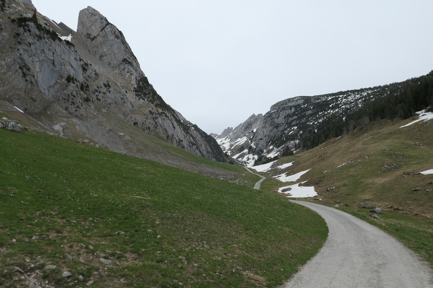 p1020536.jpg
