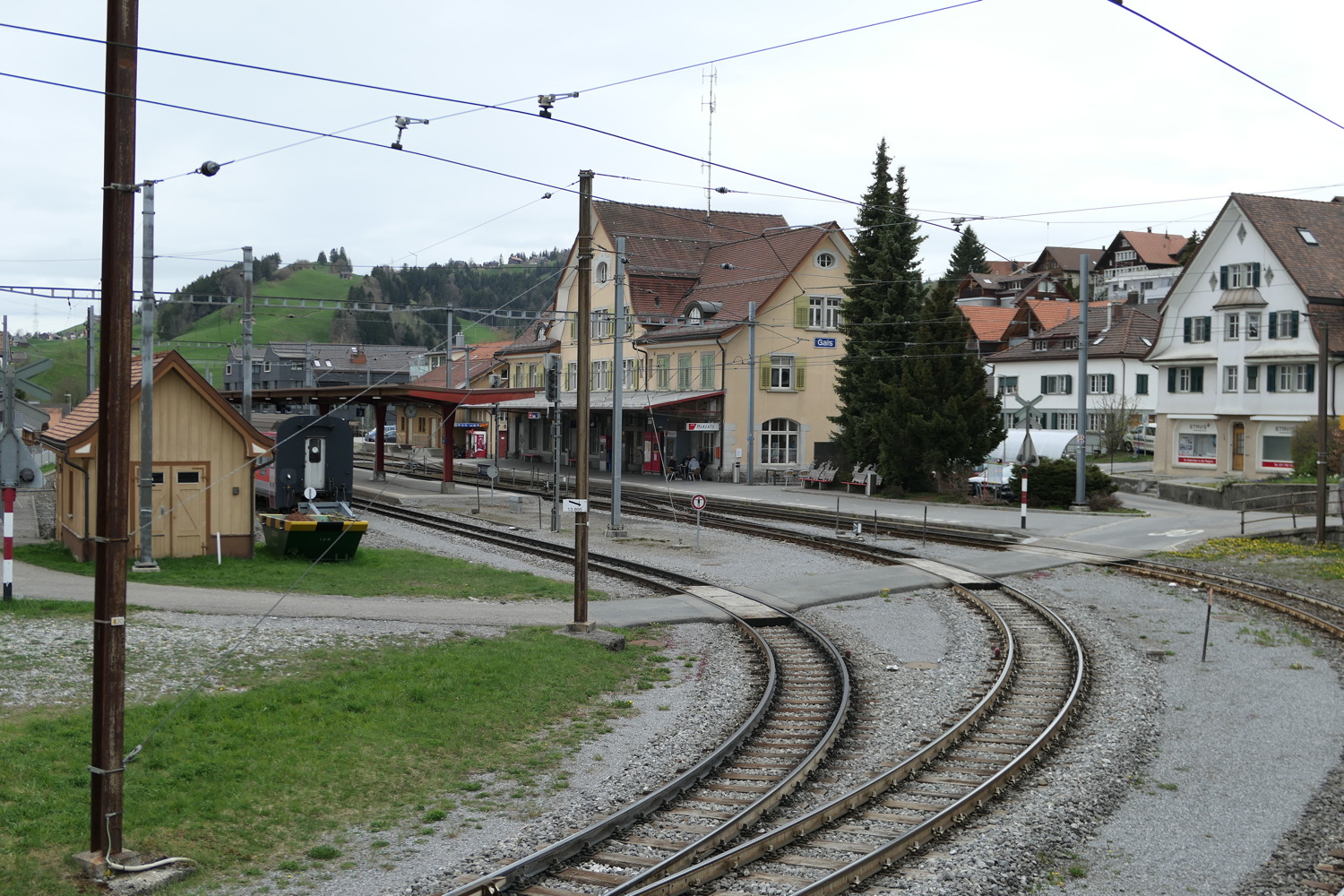 p1020559.jpg