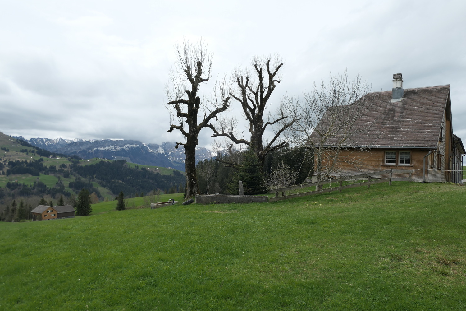 p1020564.jpg