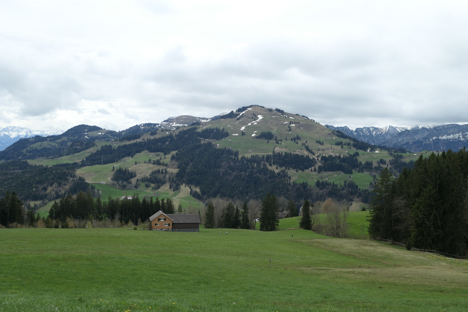 p1020565.jpg