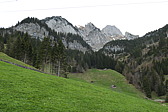 p1020532.jpg
