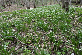 p1020534.jpg
