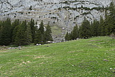 p1020535.jpg