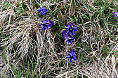 p1020545.jpg