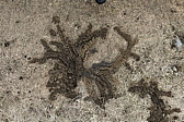 p1020550.jpg