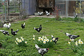 p1020560.jpg