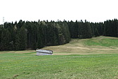 p1020561.jpg