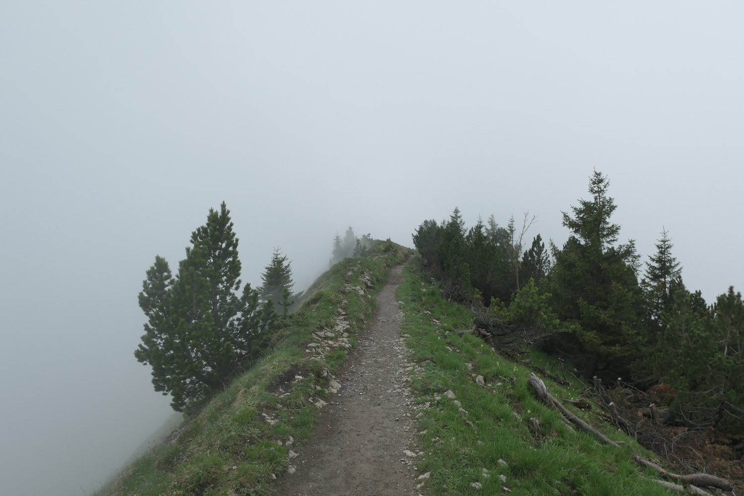p1020657.jpg
