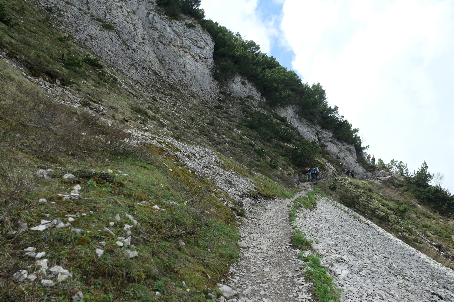 p1020662.jpg