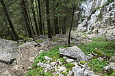 p1020684.jpg