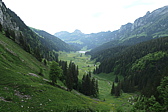 p1020685.jpg