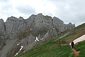 p1020690.jpg