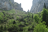 p1020701.jpg