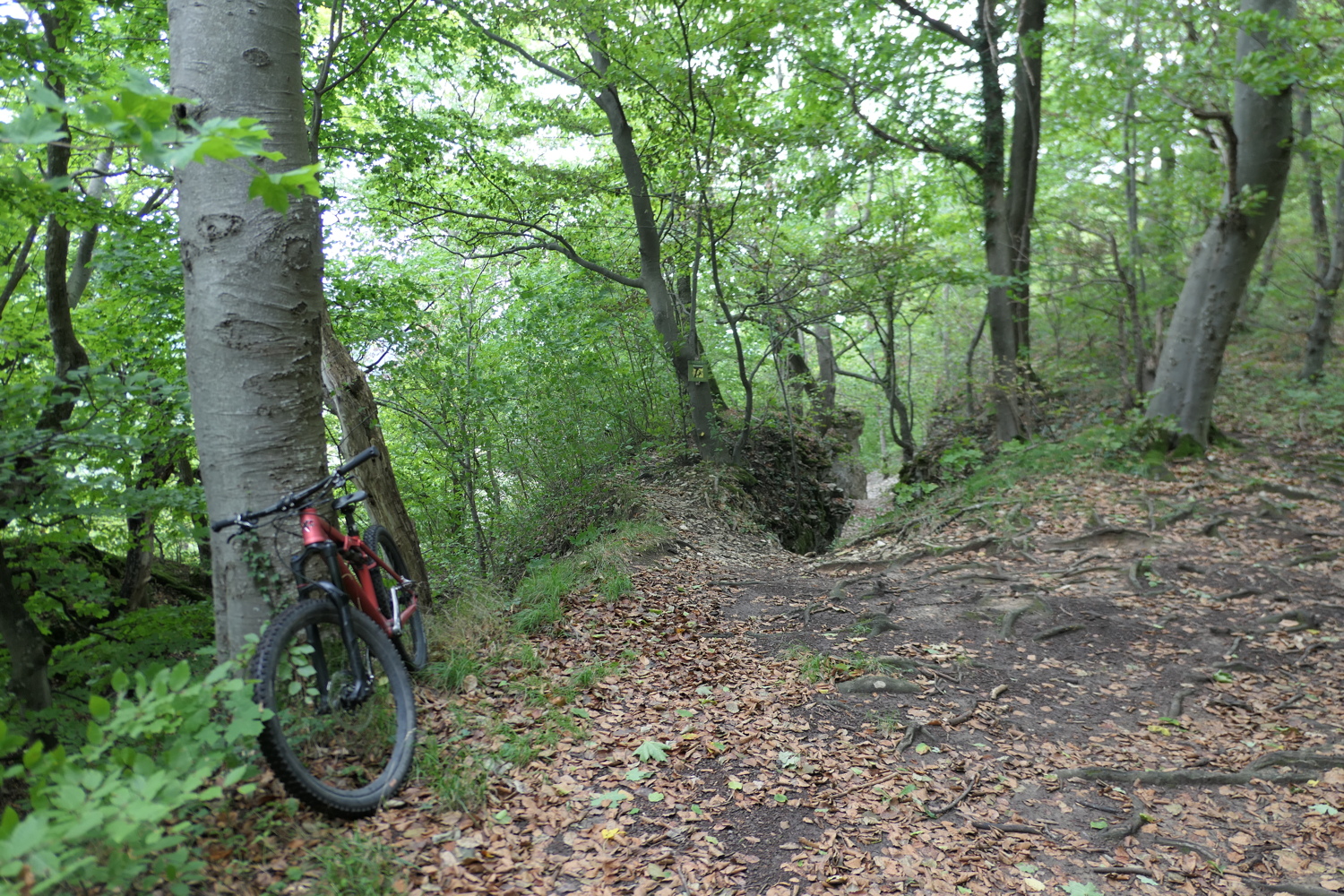 p1030630.jpg