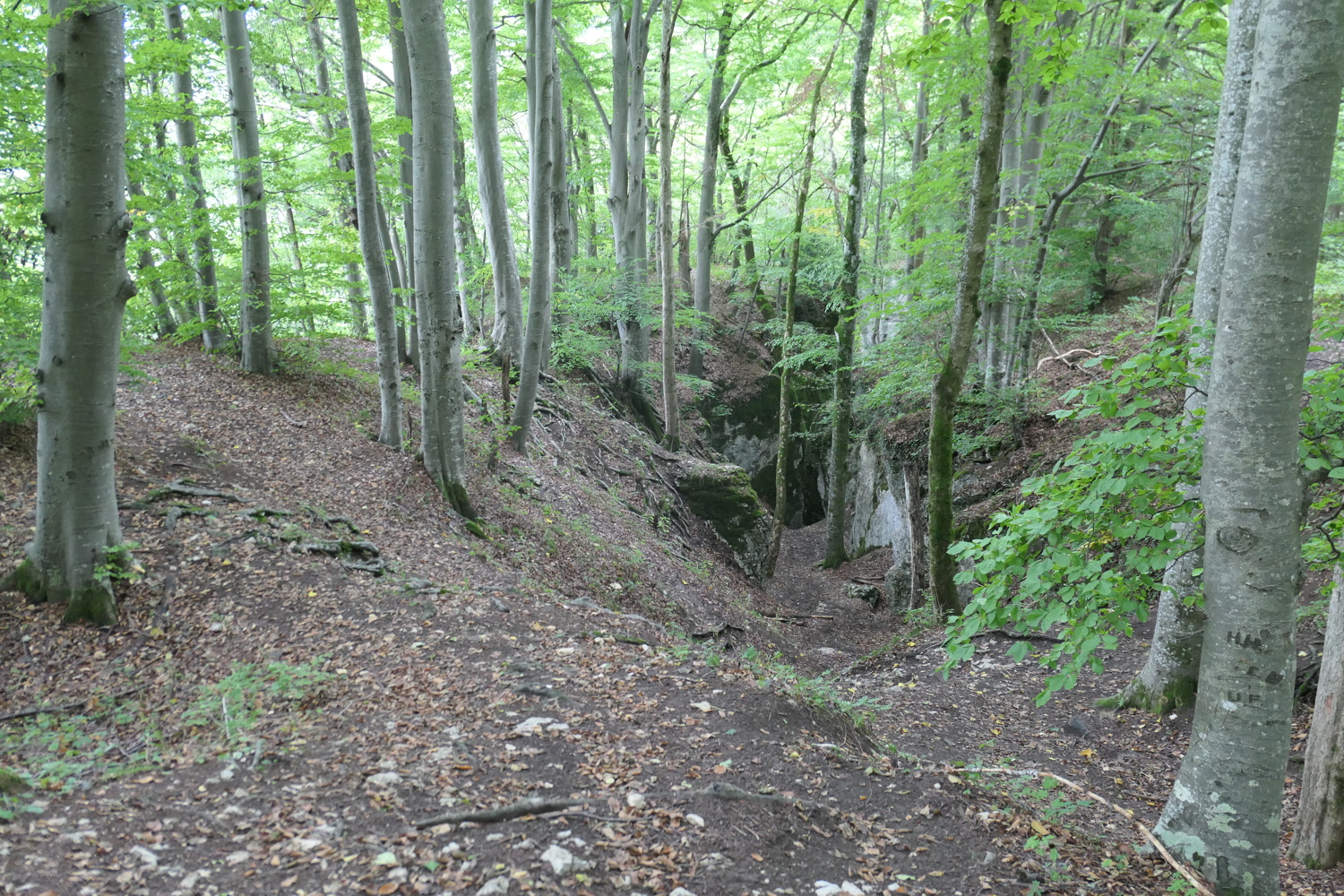 p1030636.jpg