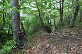 p1030630.jpg