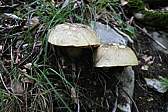 p1030632.jpg