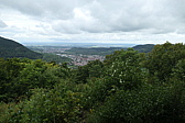 p1030633.jpg