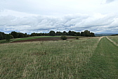 p1030635.jpg