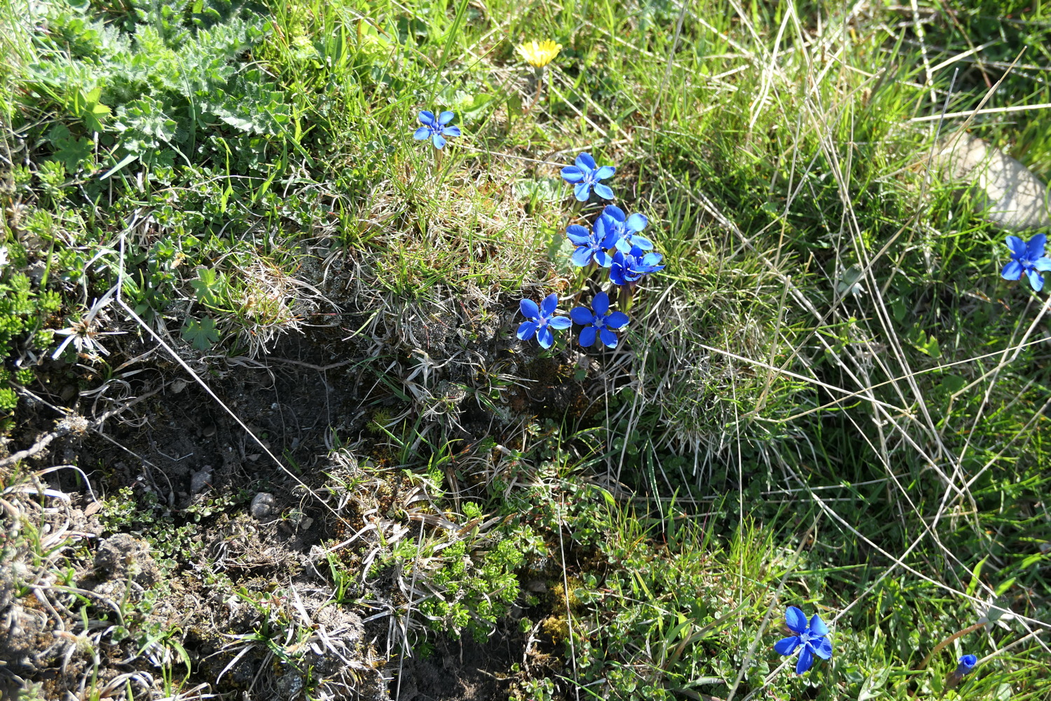 p1020651.jpg