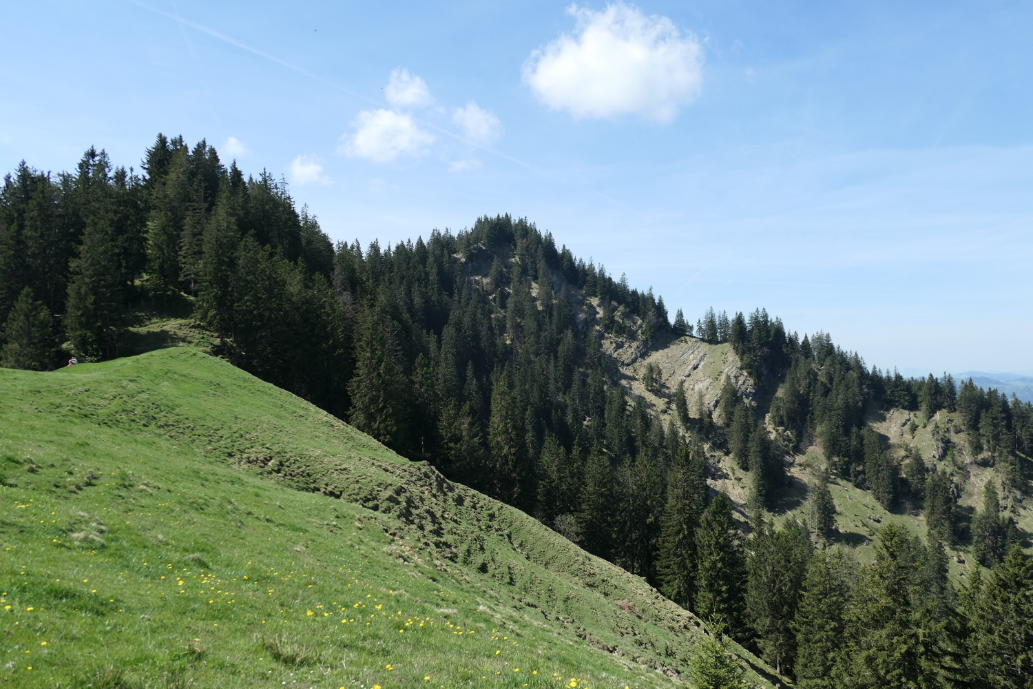 p1020654.jpg