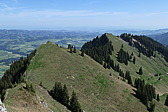 p1020650.jpg