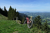p1020652.jpg