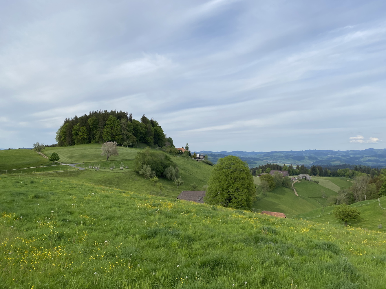 220510_burgdorf.jpg