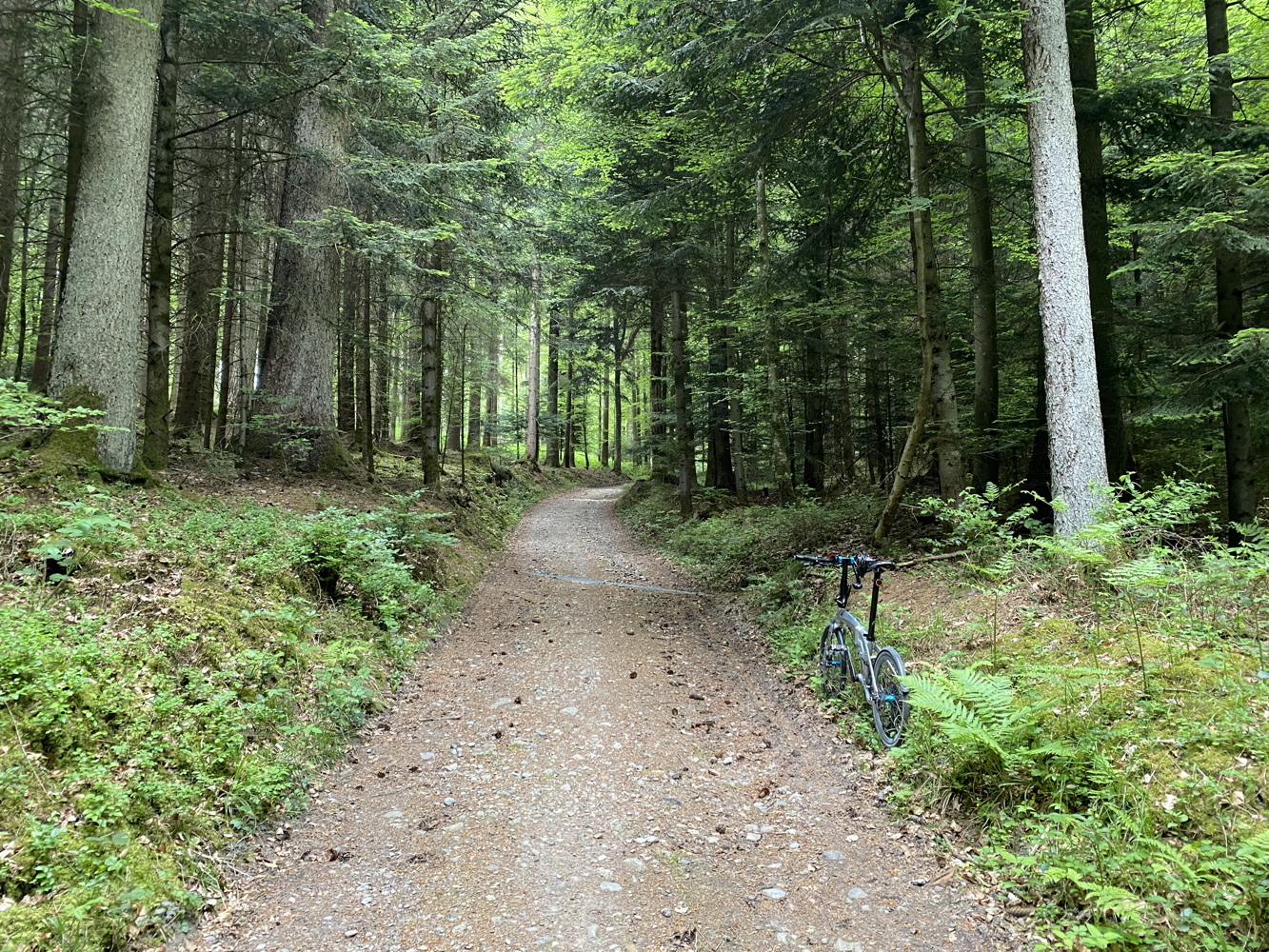 220519_burgdorf2.jpg
