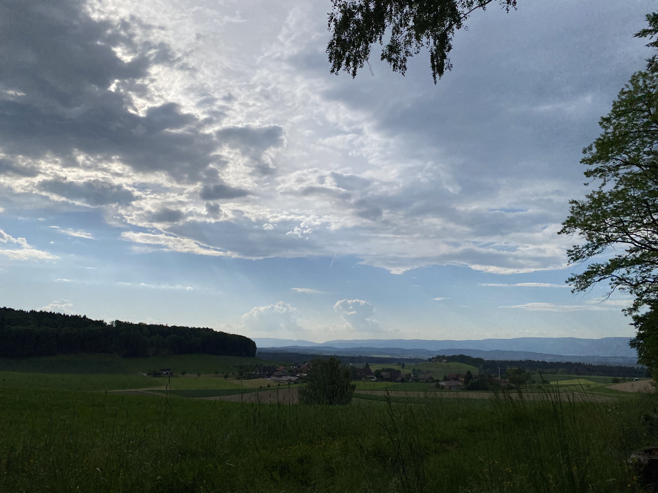 220519_burgdorf3.jpg