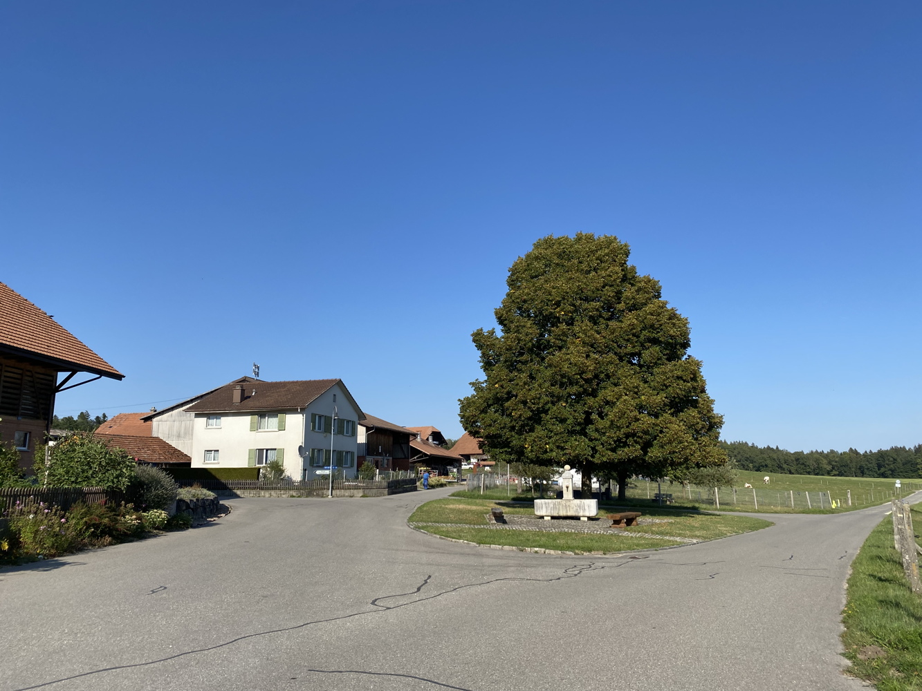 220825_biel1.jpg