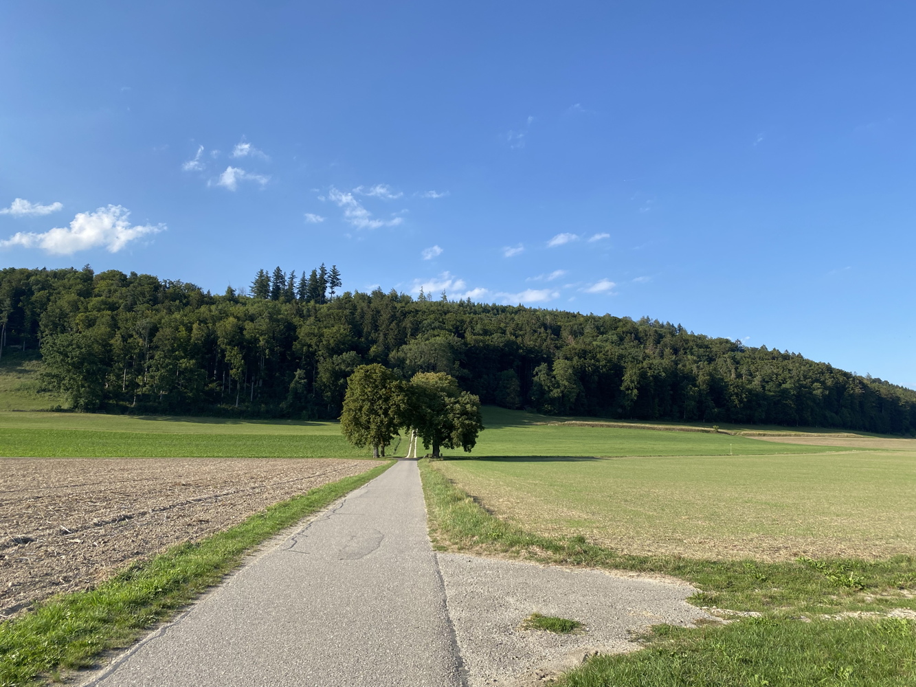 220825_biel3.jpg