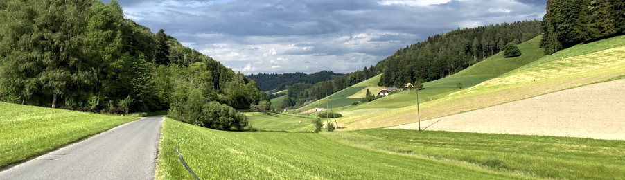 Zum Tourenplan