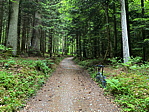 220519_burgdorf2.heic