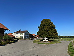 220825_biel1.heic