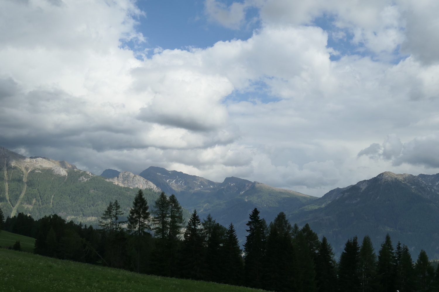 p1020713.jpg