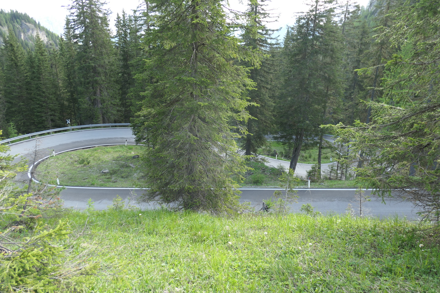 p1020779.jpg