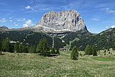p1020733.jpg