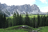 p1020780.jpg