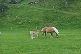 p1020795.jpg